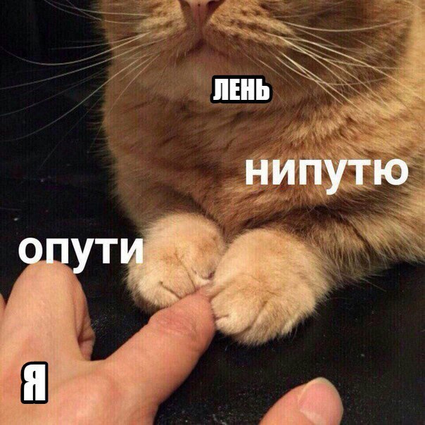  |  |  - 6  2017  10:42