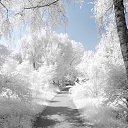 ���� ���������, ������, 66 ��� - ��������� 1 ������ 2017 � ������ ������ ��������