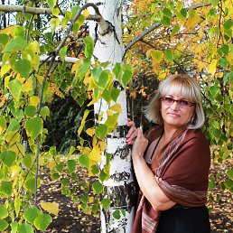 ���� �����, �������, 56 ��� - ��������� 10 ������� 2016