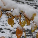 ���� Irina, ����������� - ��������� 23 ������ 2016 � ������ �������� ����