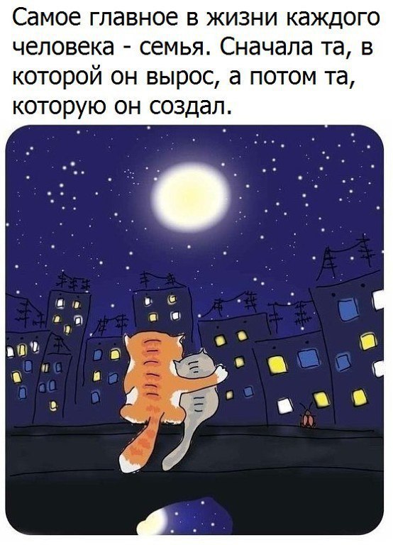 � ����� ���� - 16 ������� 2017 � 03:20