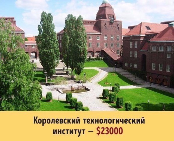 Сколько стоит образование в разных университетах мира - 5
