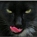   ~~[{Mistre$$ Of Poker}]~~ ,  -  2  2016    