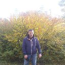  Dima, - -  8  2016   2016