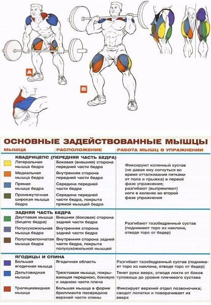 Какие мышцы совмещать на тренировке для мужчин в тренажерном зале