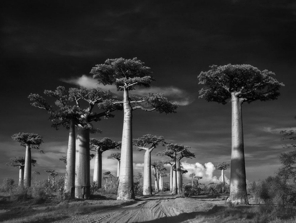   -   (Beth Moon)   ,    ... - 5