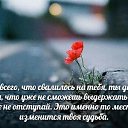 ���� ����, �����, 49 ��� - ��������� 10 ������� 2017 � ������ ������ ��������