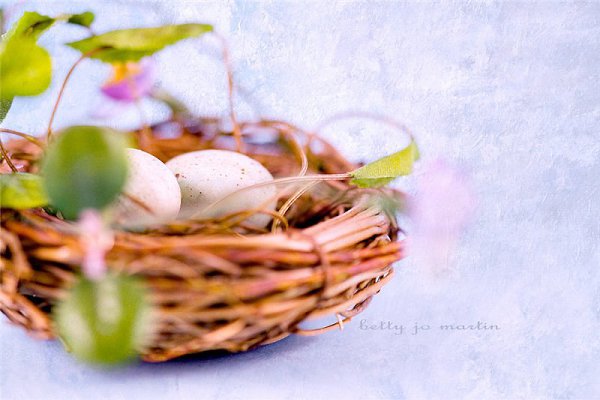 )))..Still life and Flowers by Betty Jo Martin. - 10