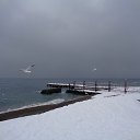  , , 60  -  3  2017     ,28.01.17.