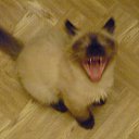 ��� ����� ������) �� ������� ���� ����������