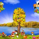 ���� ������, ���������, 66 ��� - ��������� 30 �������� 2016 � ������ �������� �������-�������