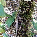 ���� ������, �����, 60 ��� - ��������� 28 �������� 2016 � ������ ���� ����������