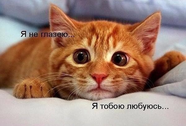    - 1  2016  15:53