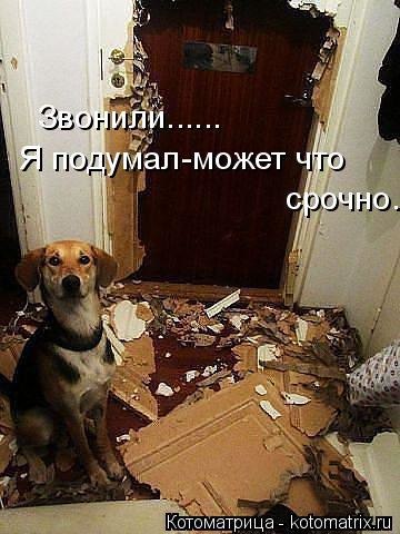 Comedy Club - 20  2017  08:21