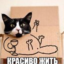 ���� �������, ��������� - ��������� 16 ������� 2016 � ������ ������ ��������