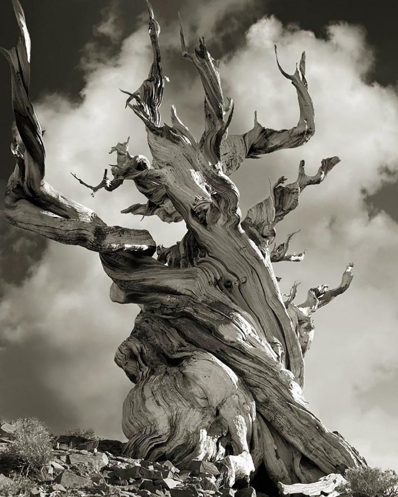   -   (Beth Moon)   ,    ... - 4