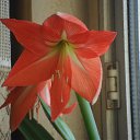 ���� �����, ������, 43 ���� - ��������� 22 ������ 2016 � ������ ���� ����������