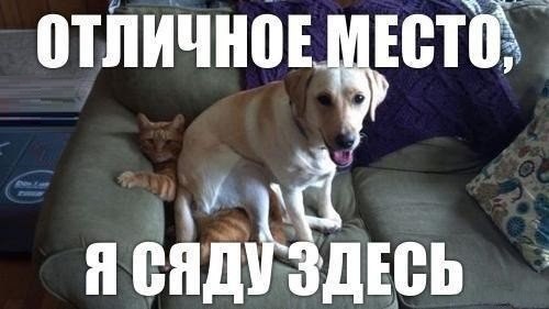  - - 20  2017  05:09