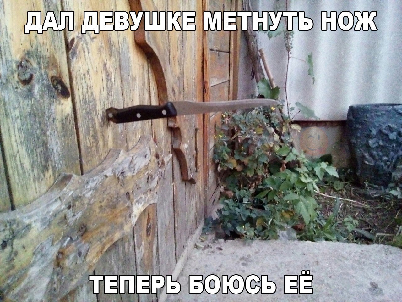    :D - 6  2016  16:04