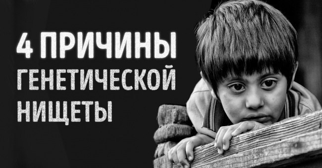 4 причины генетической нищеты.Четыре истории, которые изменят ваше представление о истоках ...