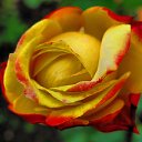  Sebastian, , 54  -  27  2017   