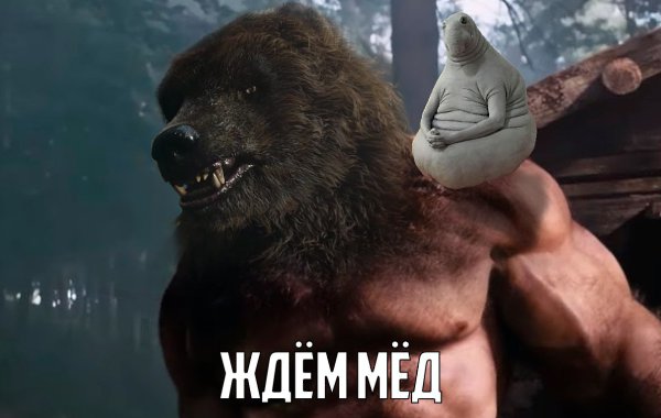    :D - 22  2017  19:10