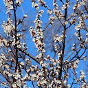 ���� ��������, ���������, 48 ��� - ��������� 22 ������� 2016 � ������ ���� ����������