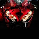 ���� Vitali, �����, 43 ���� - ��������� 7 ������ 2016 � ������ ���� ����������