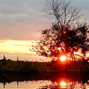 ���� Lyubov, ������ - ��������� 29 �������� 2016 � ������ �������������