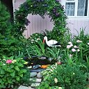 ���� �������, ������, 51 ��� - ��������� 11 ������� 2016 � ������ ����� 2016�