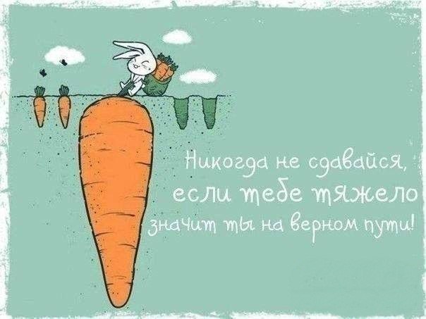 LIFE -  - 21  2017  01:30