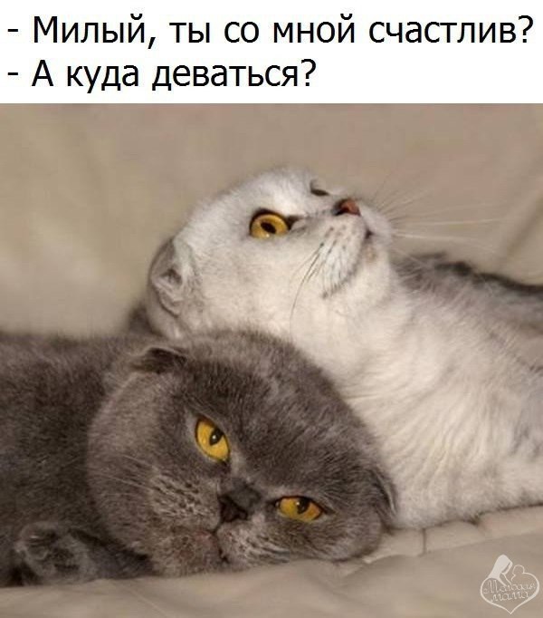   -   - 20  2017  20:01