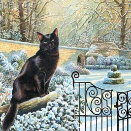 �������, ���������