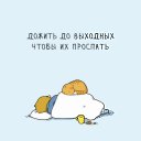 ���� ������, ������, 44 ���� - ��������� 23 ������� 2017 � ������ ������ ��������