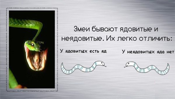   - 13  2016  13:54