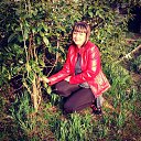 ���� ������, ���������, 44 ���� - ��������� 14 ����� 2017 � ������ ���� ����������