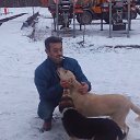  Gogi, , 53  -  18  2016    