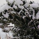 ���� ������, ������, 54 ���� - ��������� 14 ������ 2016 � ������ �������� ������