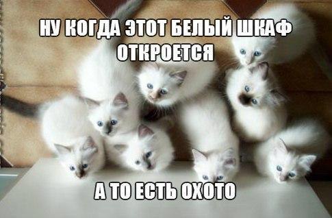    - 22  2017  23:10