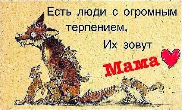  - ,  - 6  2016  19:17