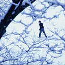  Karen, , 53  -  6  2017    