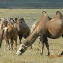 ���� �������, �����������, 49 ��� - ��������� 27 ������ 2016