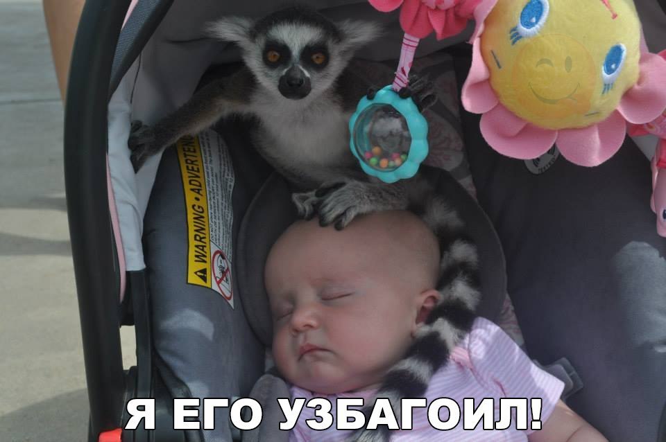    :D - 9  2016  10:12