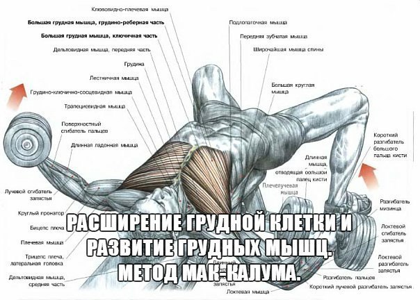 ���������� ������� ������ � �������� ������� ����. ����� ���-������. ����� ���-������ ������������ ...