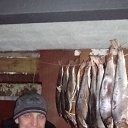 ���� ���������, ���������, 41 ��� - ��������� 6 ������ 2017 � ������ ���� ����������