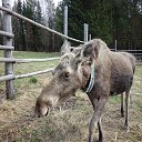 ���� ��������, ���������, 48 ��� - ��������� 3 ������ 2017 � ������ ���� ����������