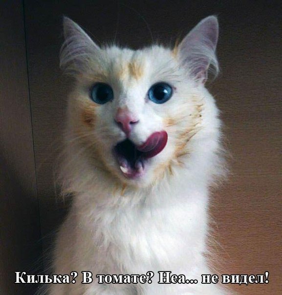  ))) - 20  2016  18:02