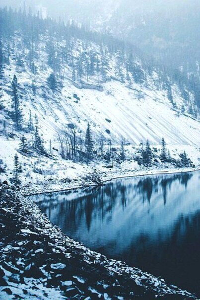    ,    ,    ,    .  . ...