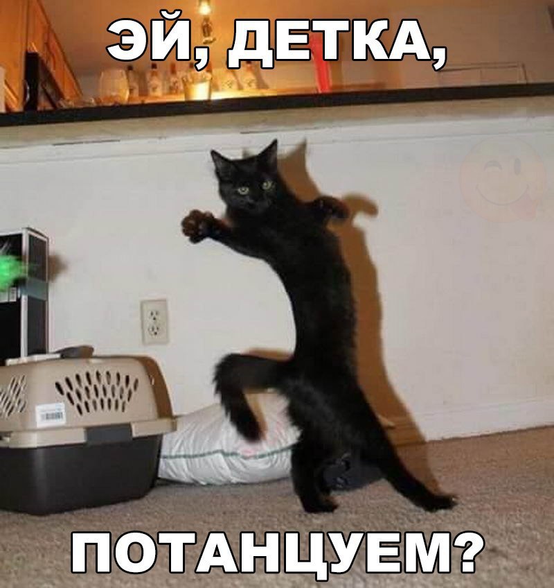    :D - 28  2017  13:14