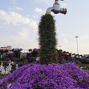 ���� Vladimir, ��������� - ��������� 4 ������ 2016 � ������ �������� 2 2016�.�